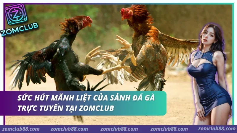 Loại hình đá gà ZomClub Các loại hình đá gà trực tiếp tại ZomClub: Thomo, Cựa Sắt, Cựa Dao