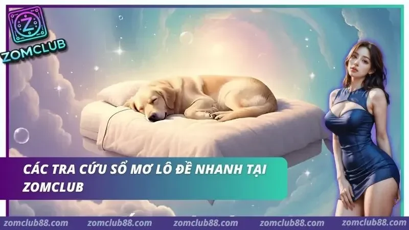 Hình ảnh Giai Ma Giac Mo Lo De Zomclub 3 1 trong bài viết Giải Mã Giấc Mơ Lô Đề Zomclub - Cách Tra Sổ Mơ 2026. Cách tra sổ mơ lô đề Zomclub theo nhóm con người động vật sự kiện thiên nhiên và đồ vật