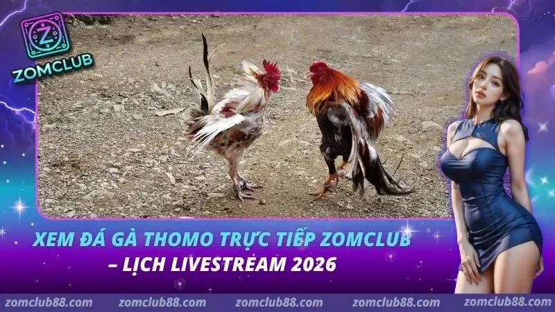 Xem Đá Gà Thomo Trực Tiếp ZomClub